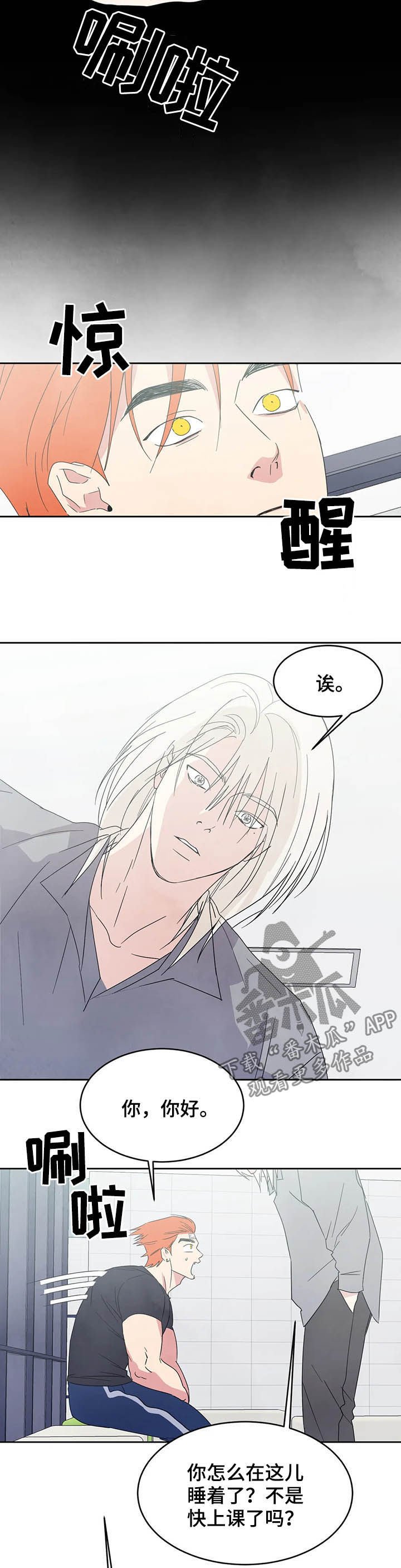 第29章：交往试试