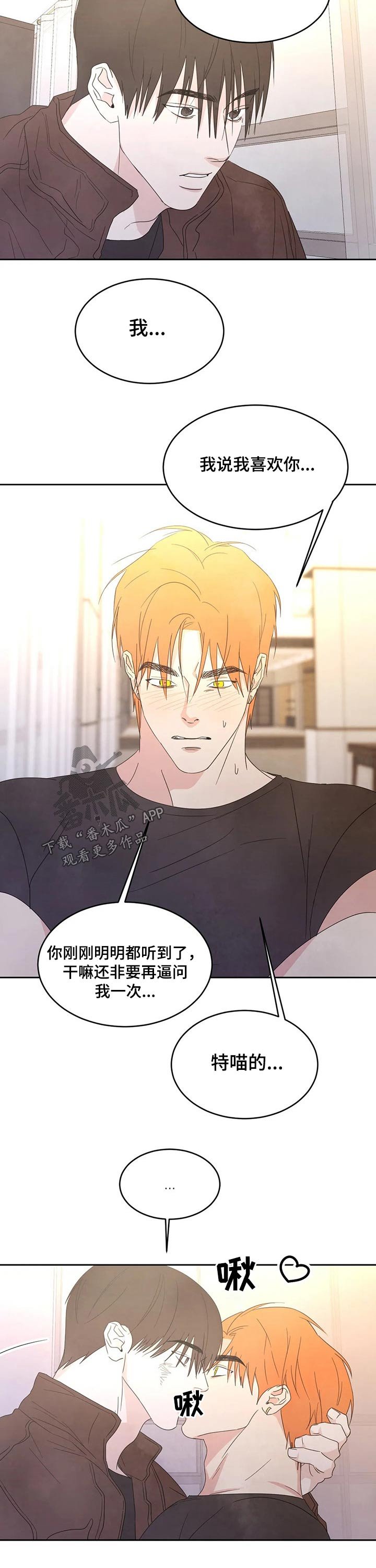 第39章：表白