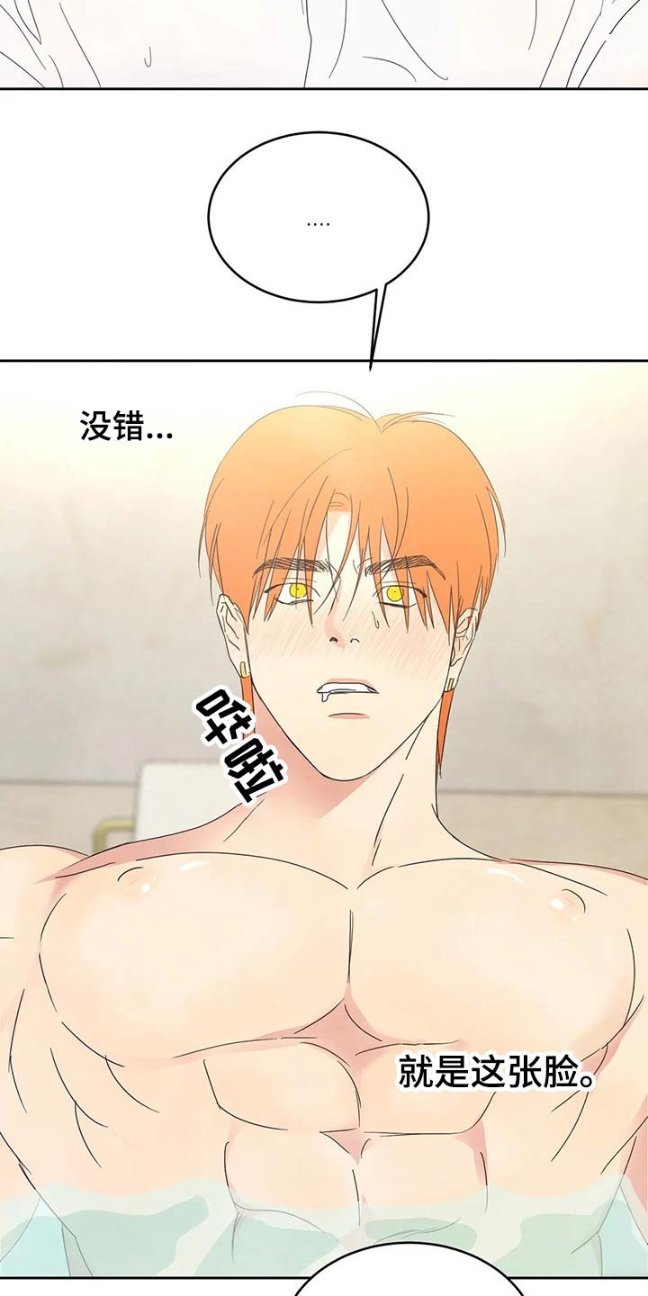 第42章：依据