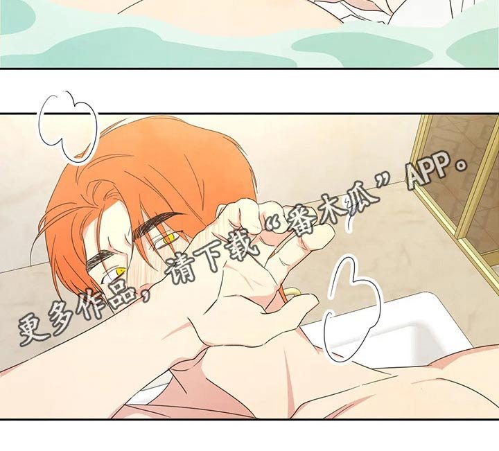 第42章：依据
