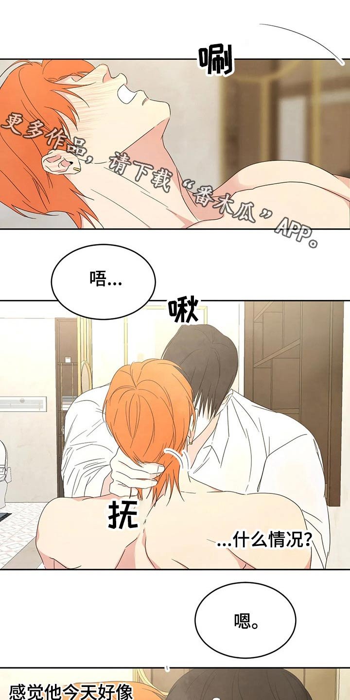 第43章：过分