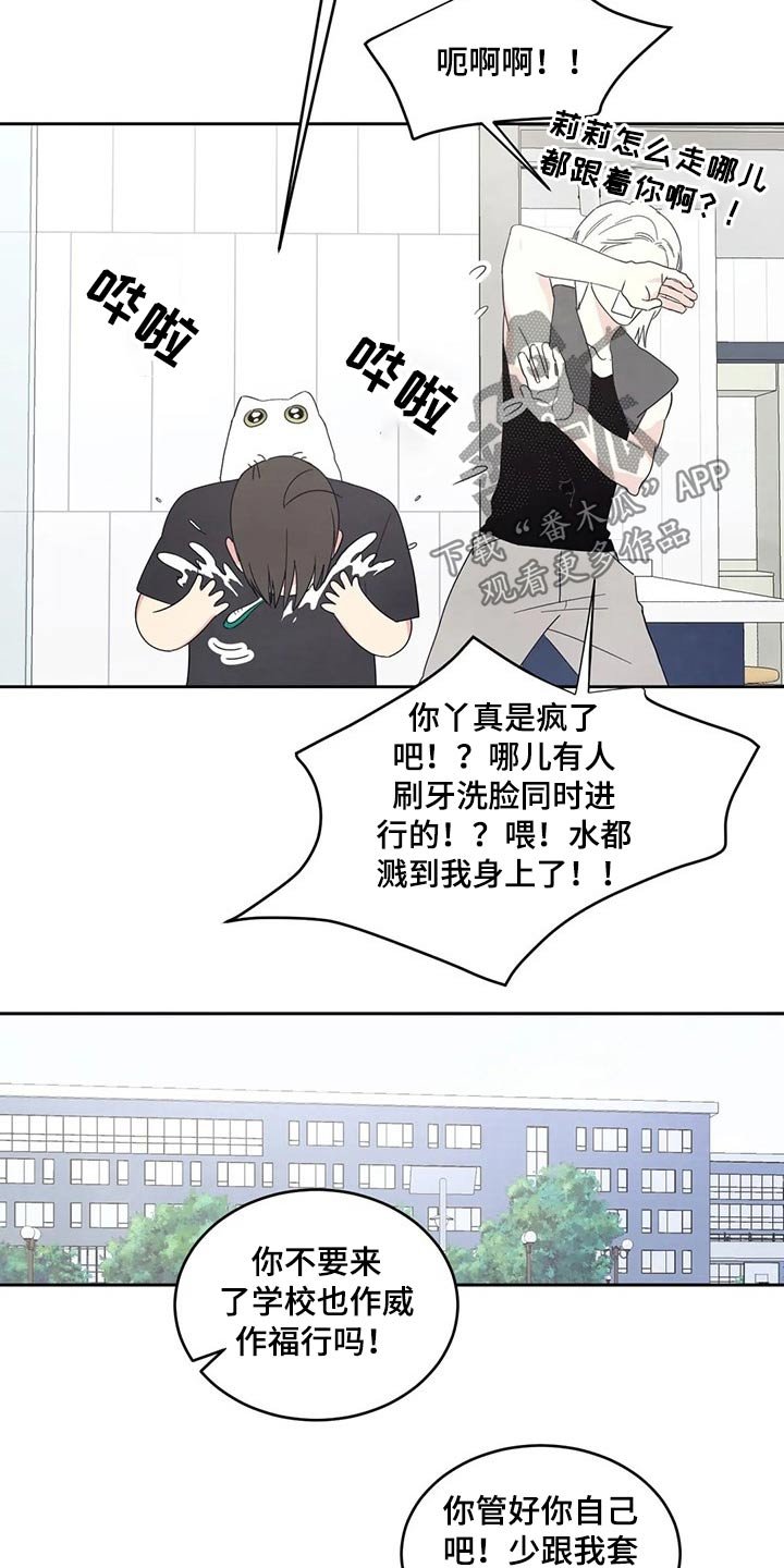 第50章：照片