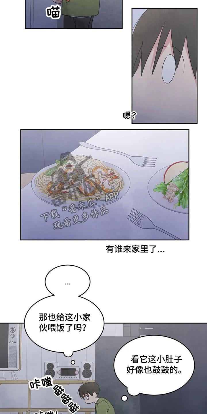 第50章：照片