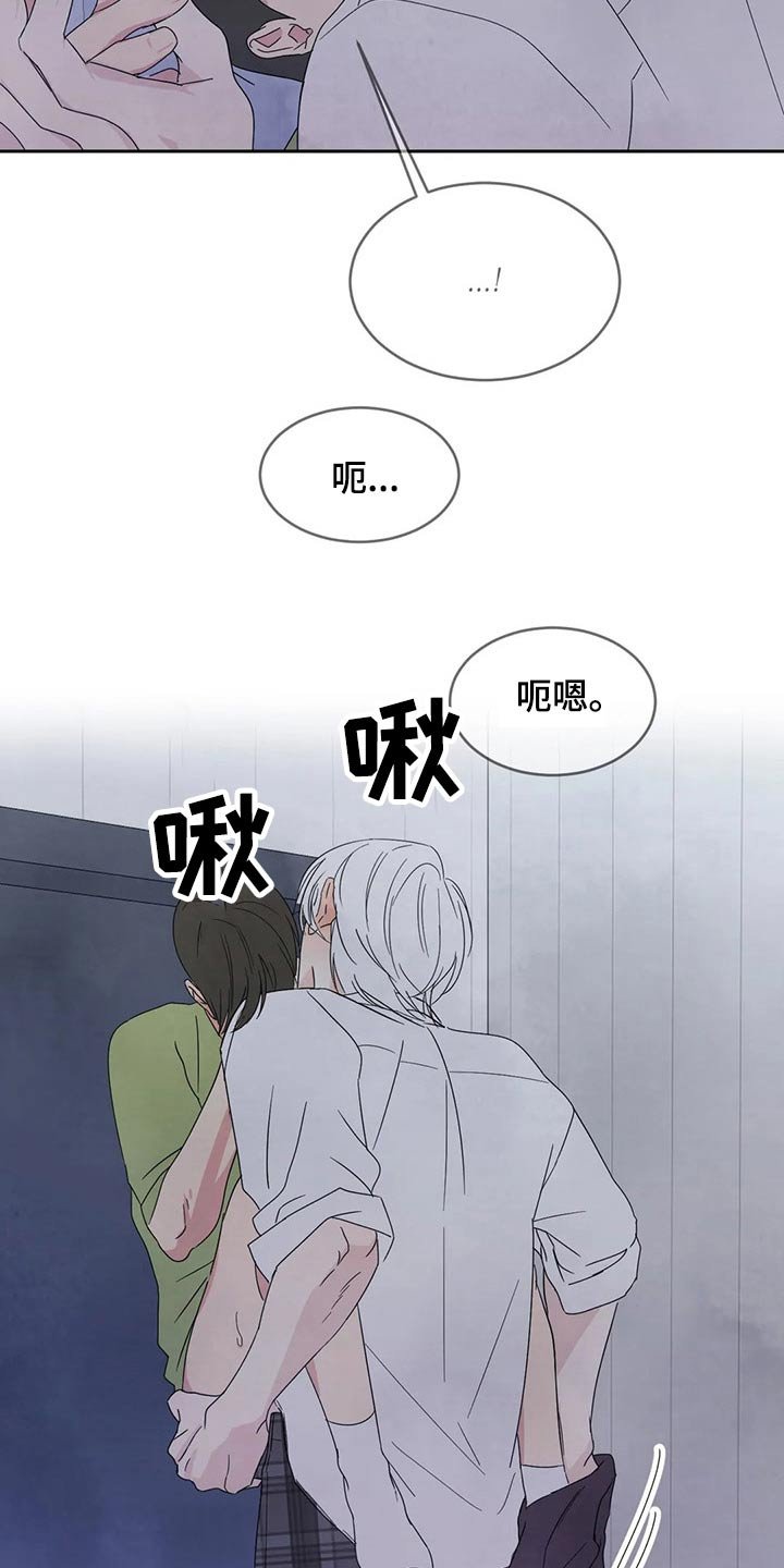 第56章：软件