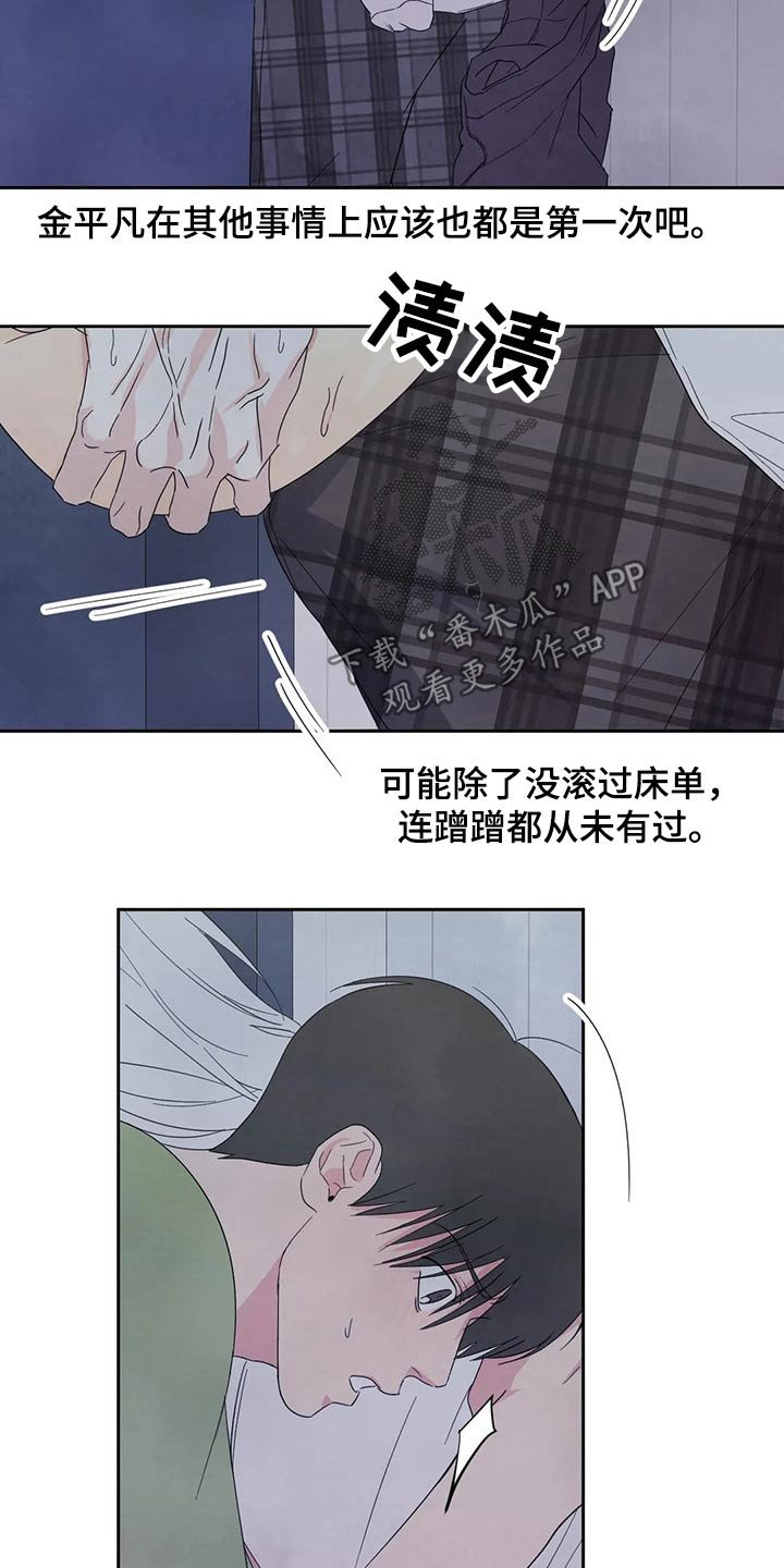第56章：软件