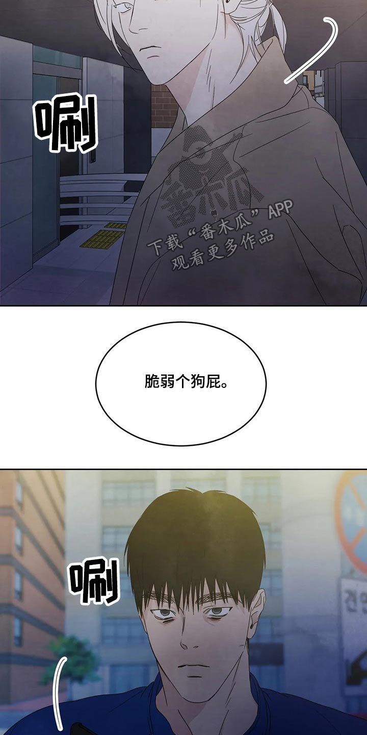 第59章：脸蛋【第一季完结】