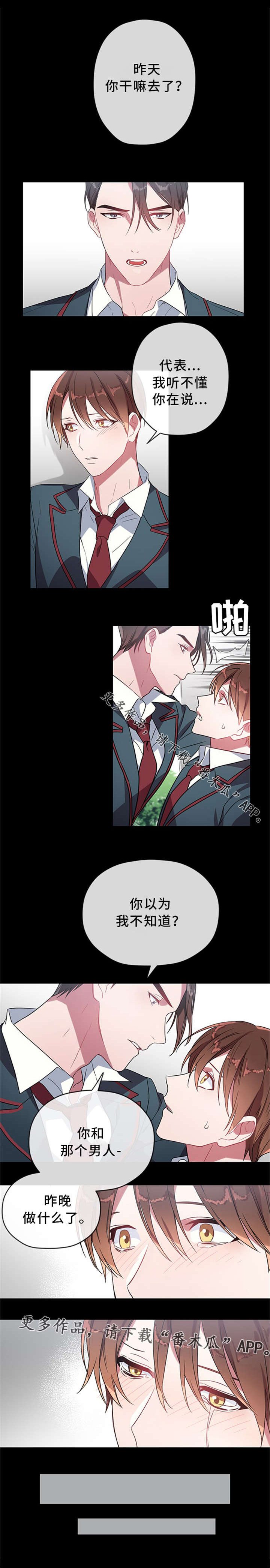 第14章：视频