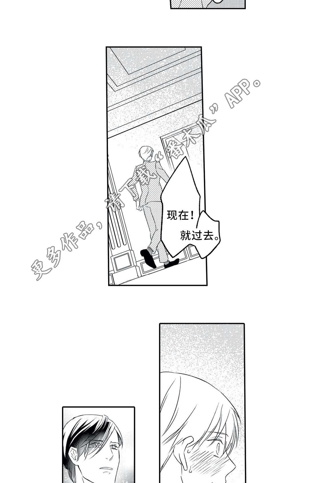 第12章：另一半