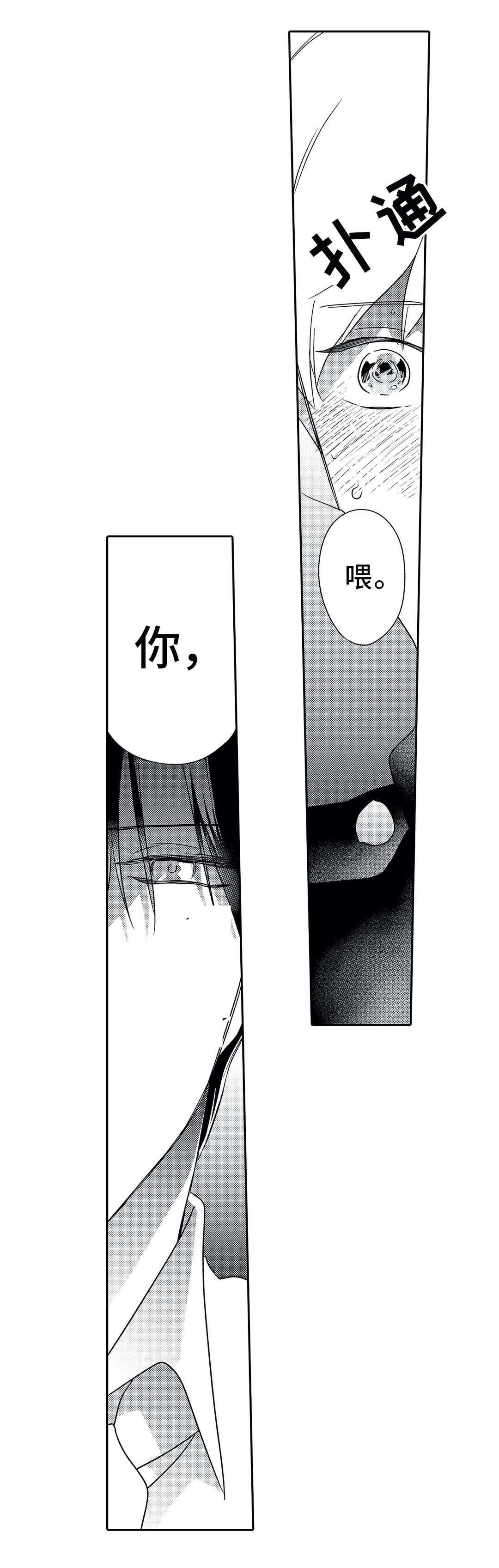 第17章：诱人