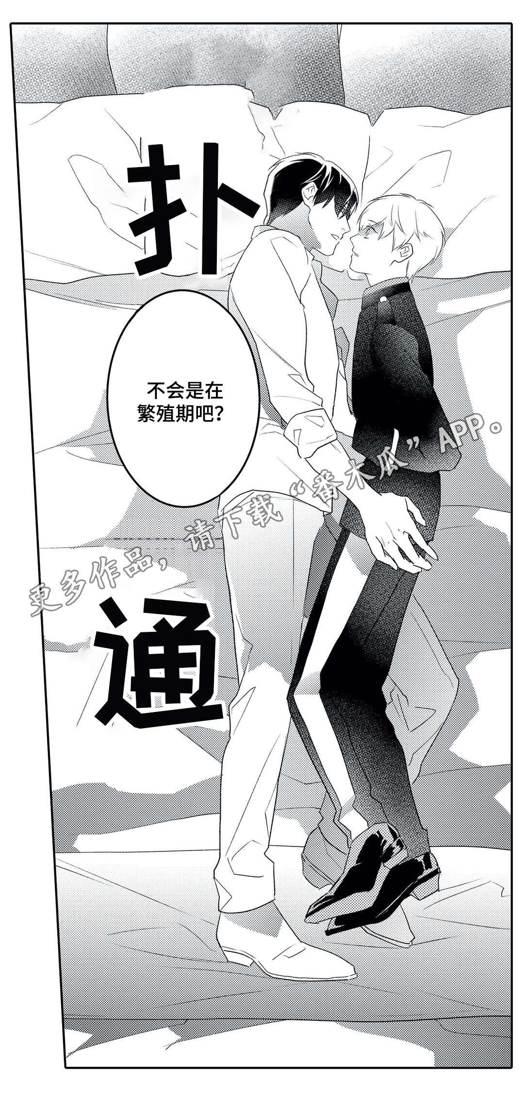 第17章：诱人