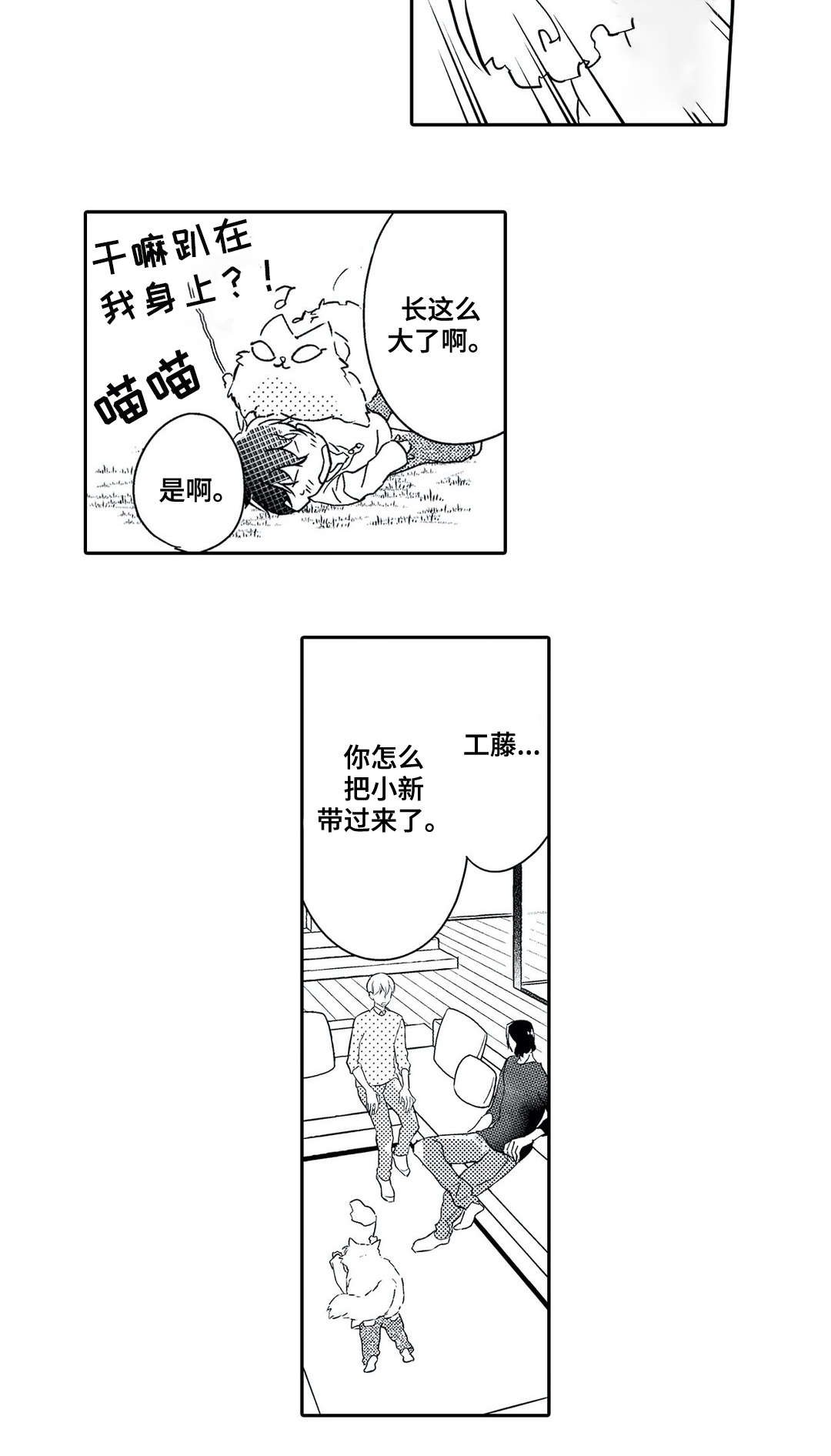 第19章：误解
