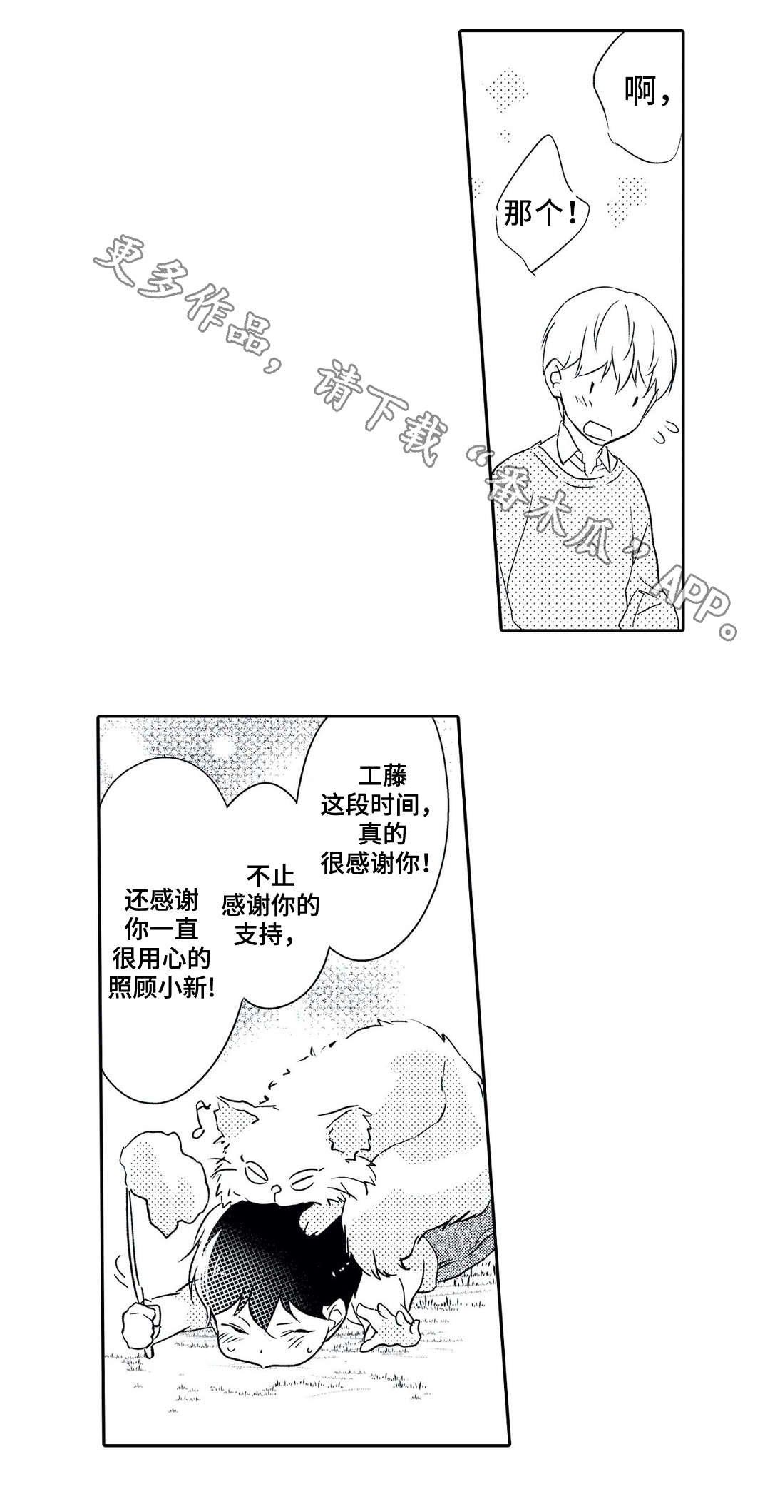 第19章：误解