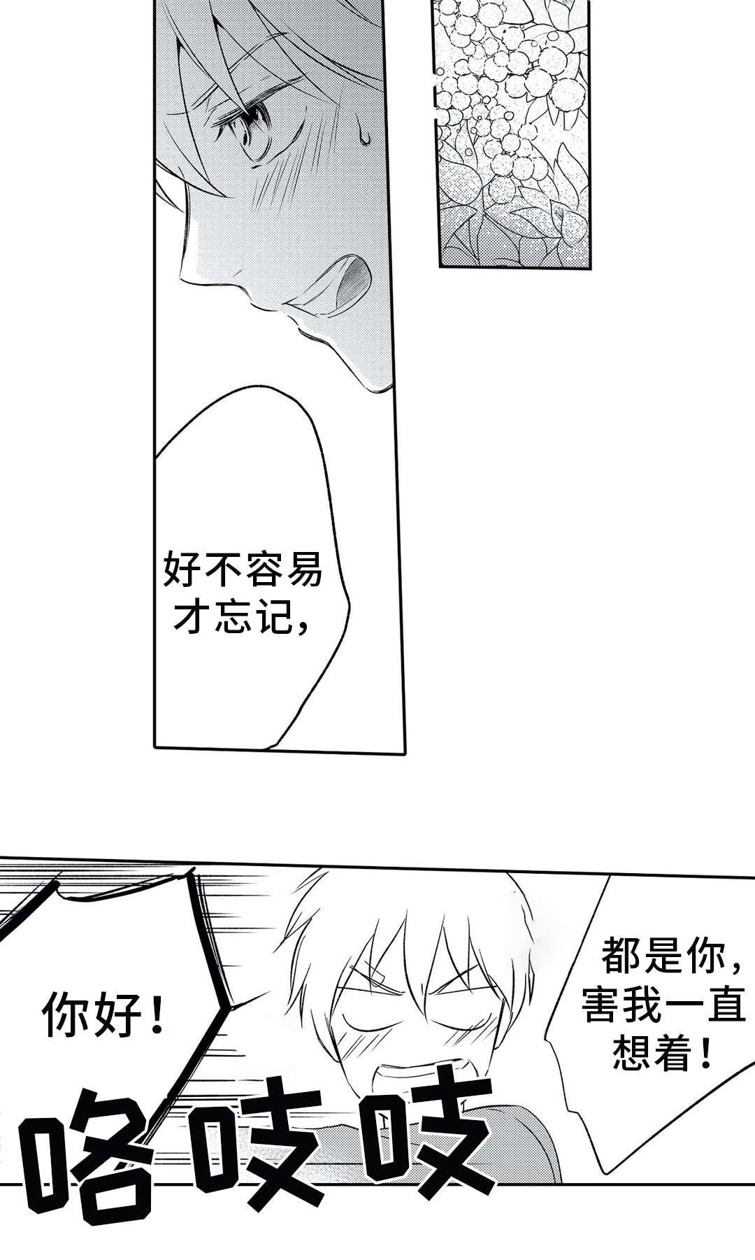 第5章：忘记