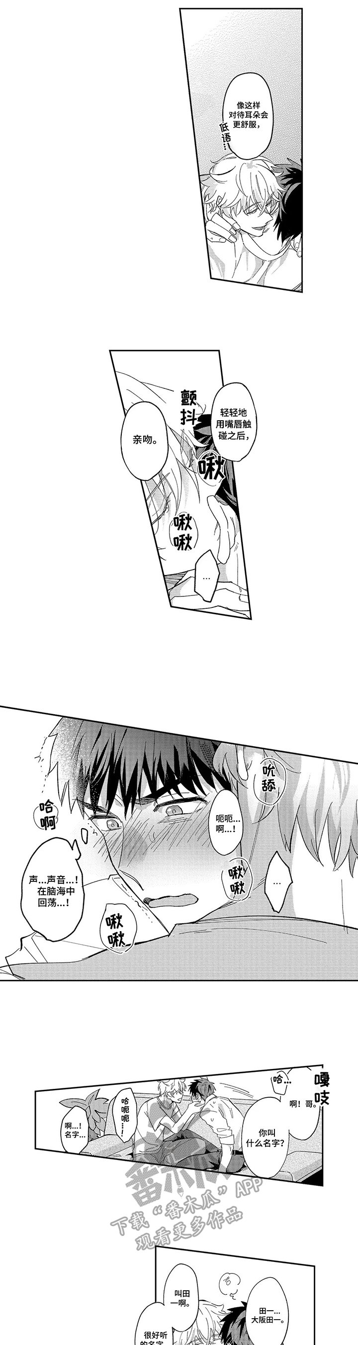第4章：建议