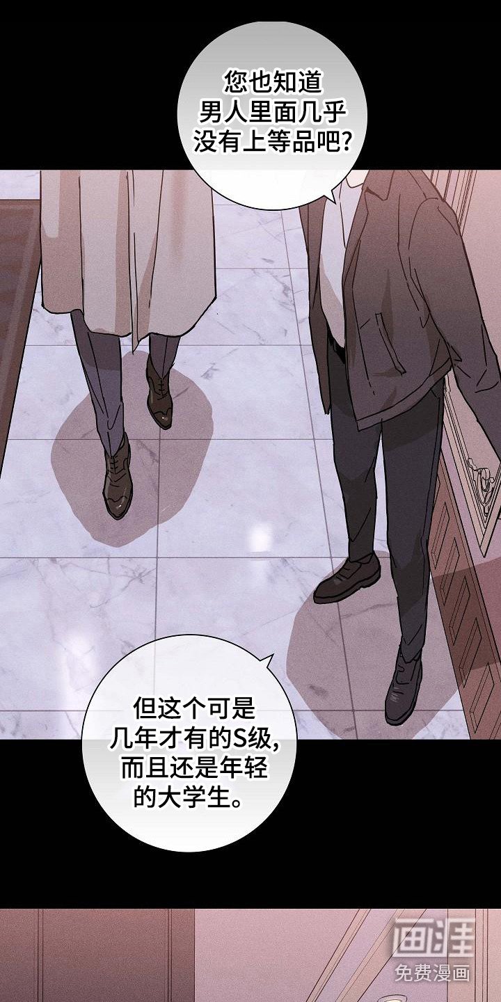 第100章：【第二季】上等新品