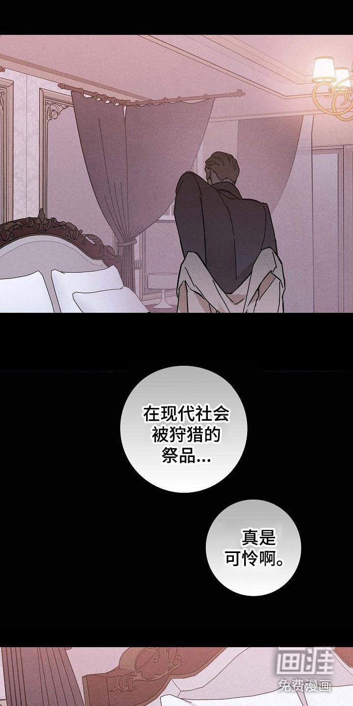 第100章：【第二季】上等新品
