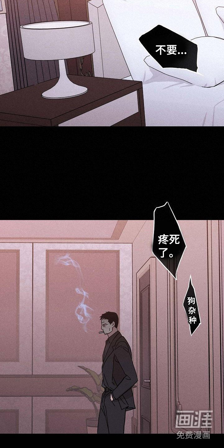 第100章：【第二季】上等新品