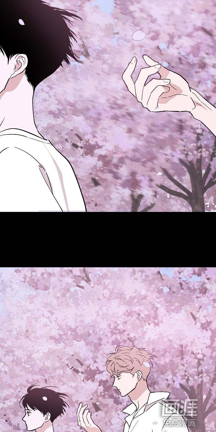第117章：【第二季】总有一天我要找到你