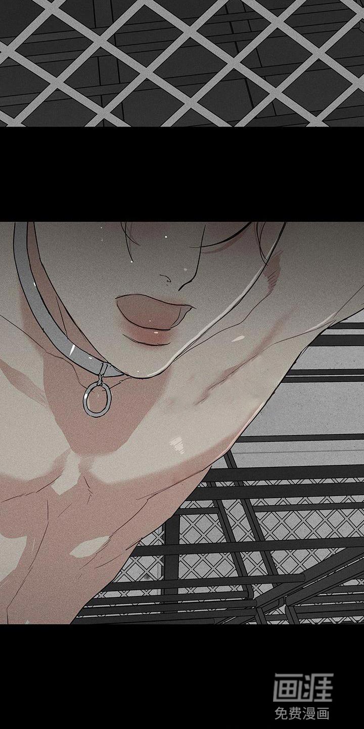 第155章：【第二季】那还真是期待