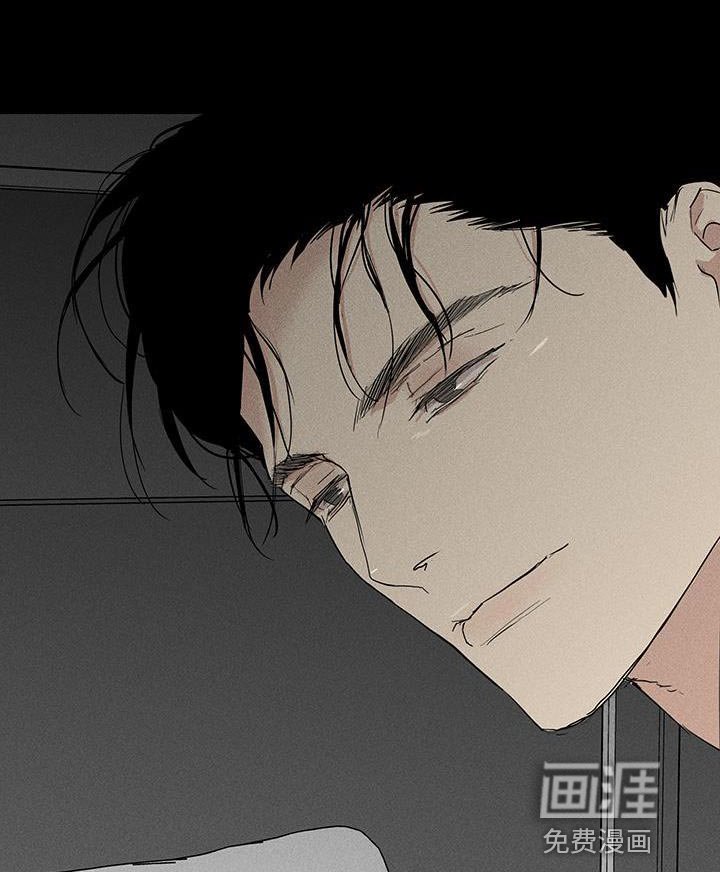 第161章：【第二季】不情不愿地猫