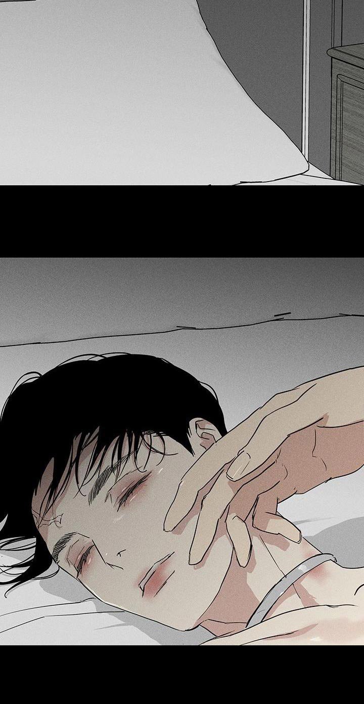 第161章：【第二季】不情不愿地猫