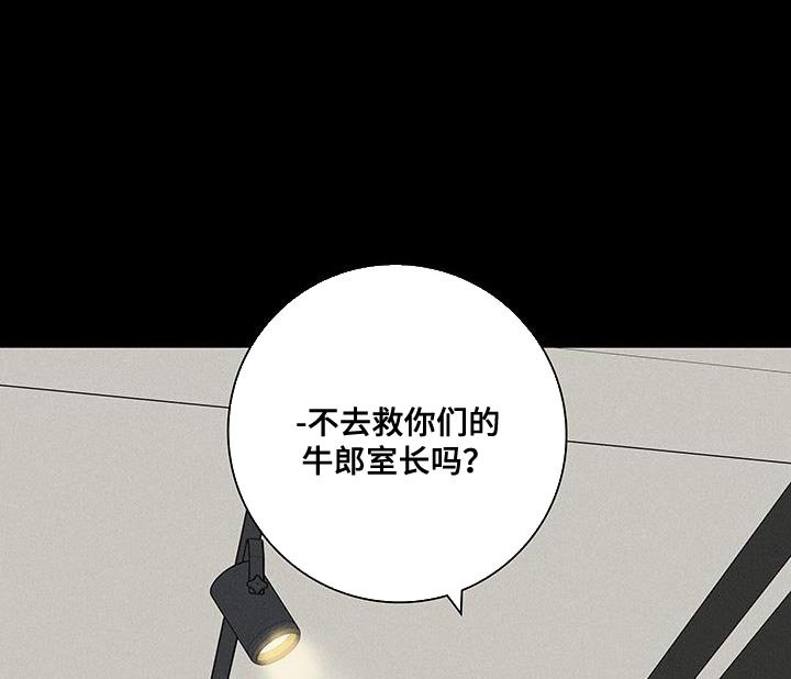 第161章：【第二季】不情不愿地猫
