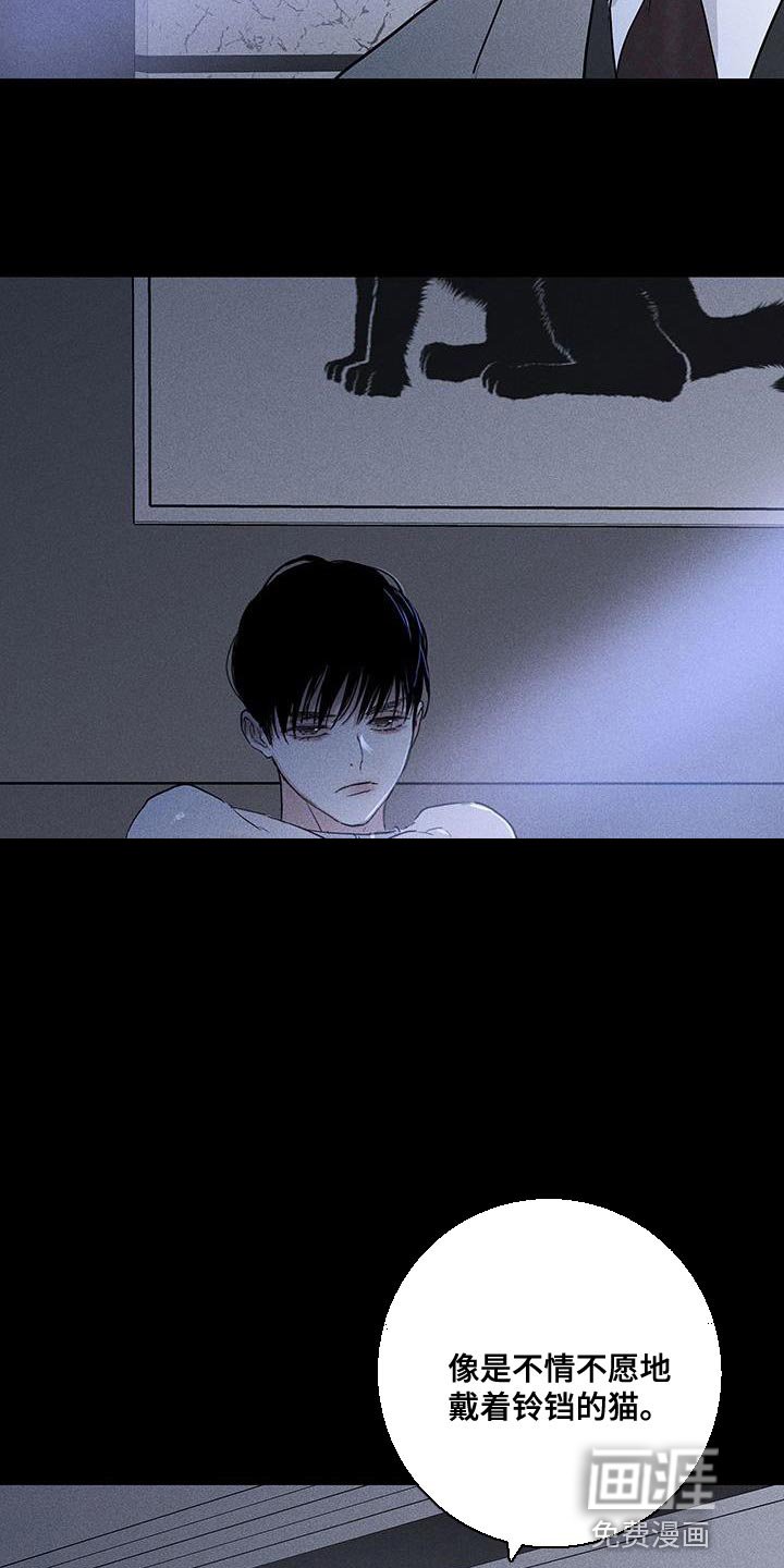 第161章：【第二季】不情不愿地猫