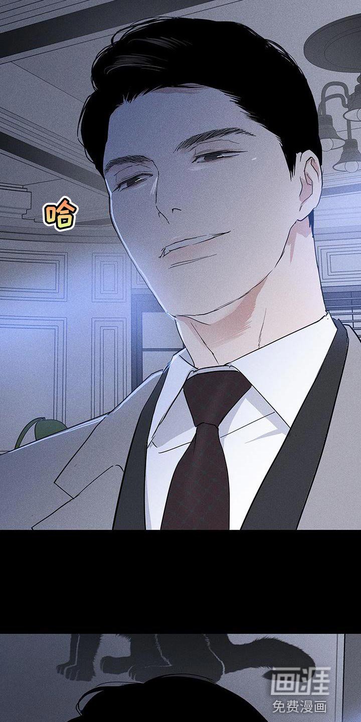 第161章：【第二季】不情不愿地猫