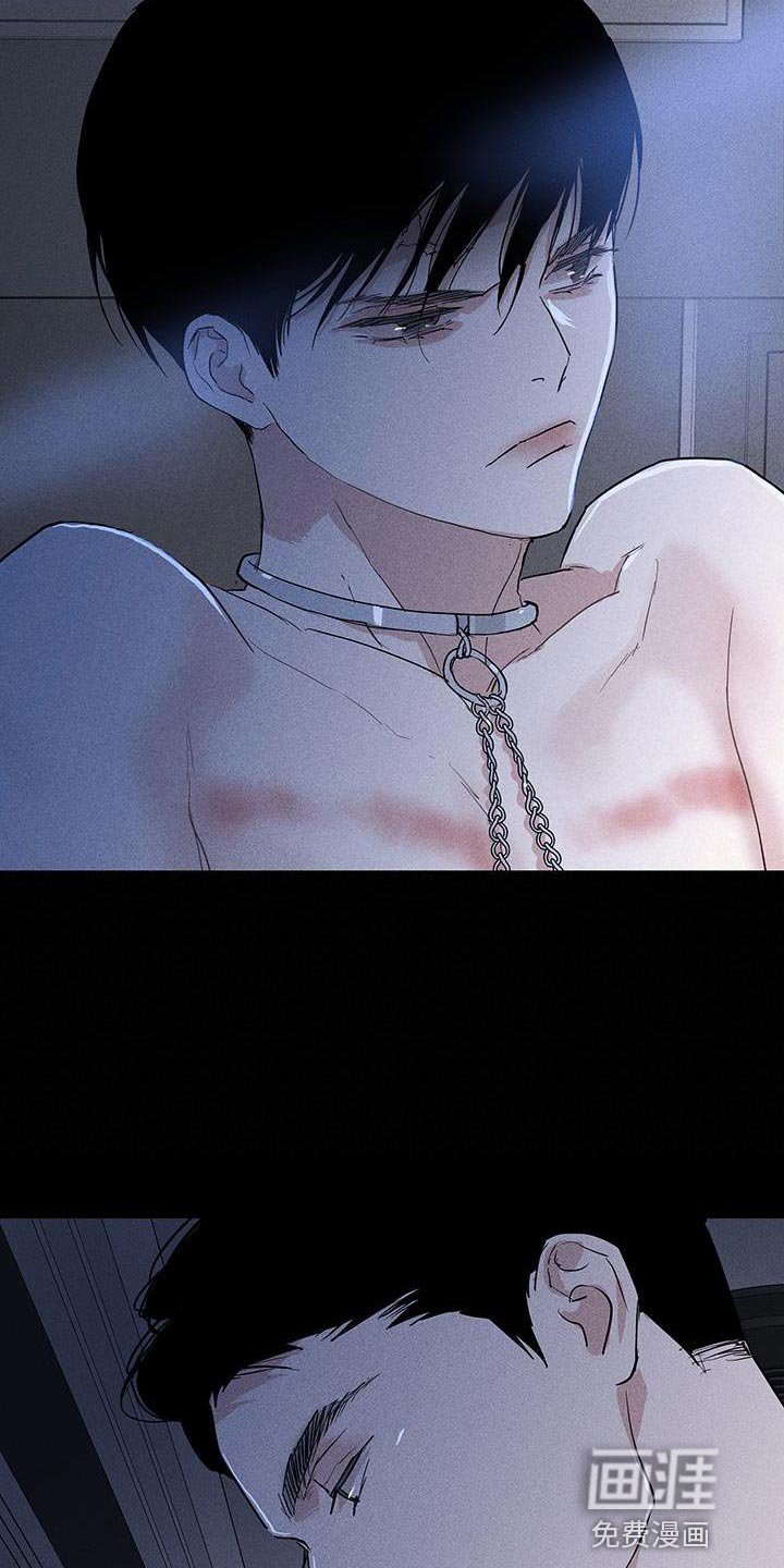第161章：【第二季】不情不愿地猫