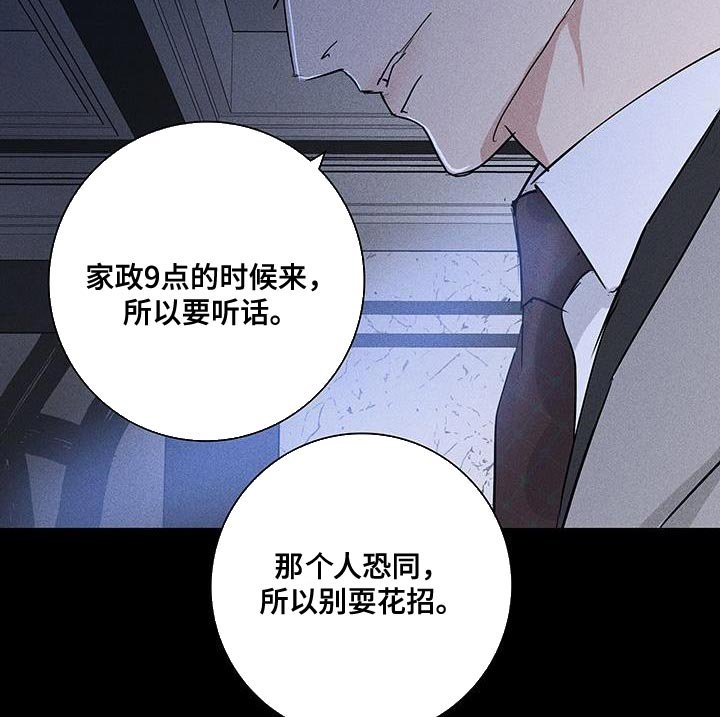 第161章：【第二季】不情不愿地猫