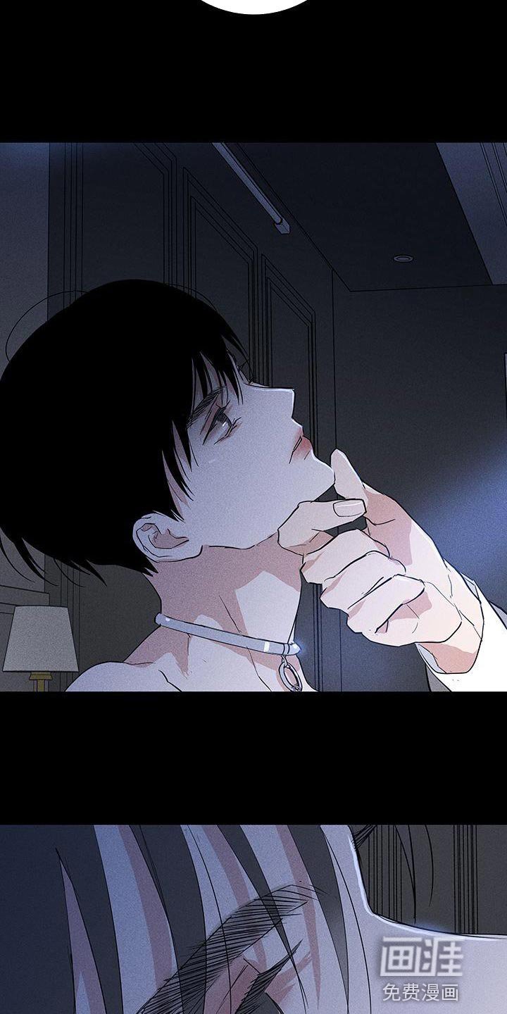 第161章：【第二季】不情不愿地猫