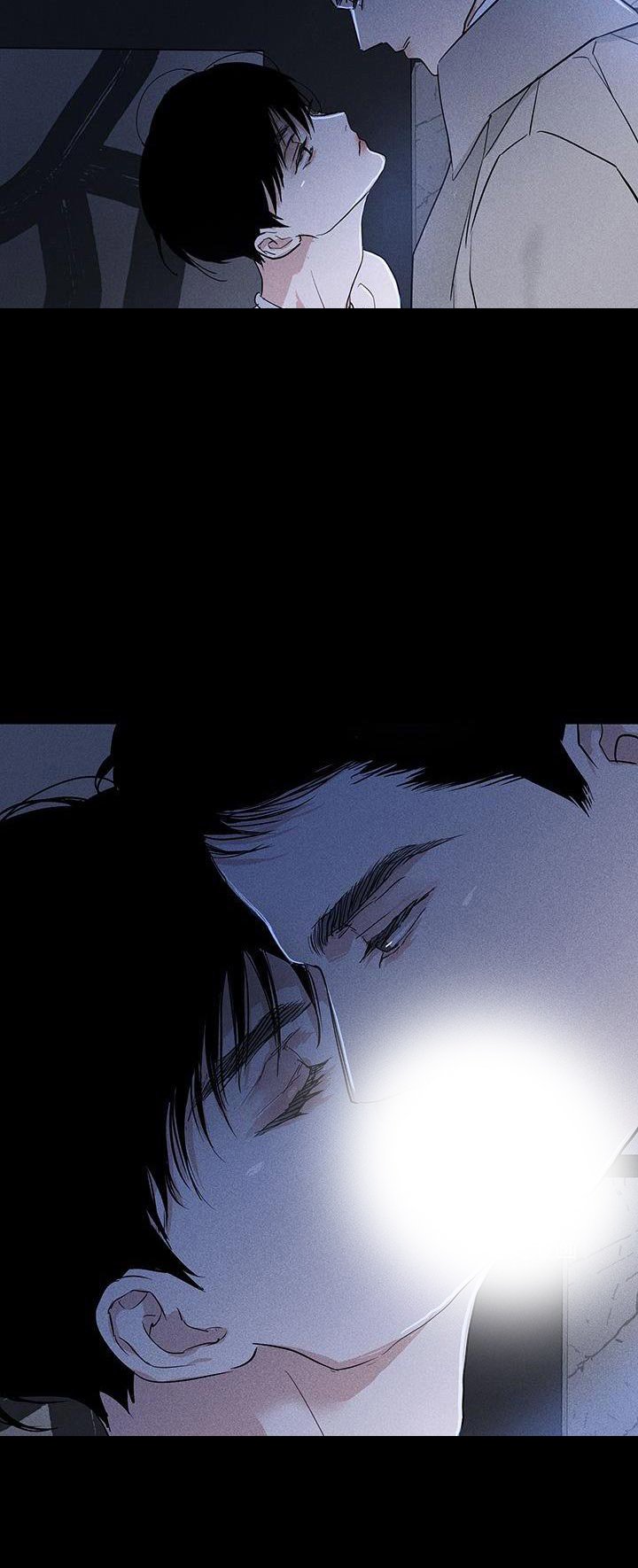 第161章：【第二季】不情不愿地猫