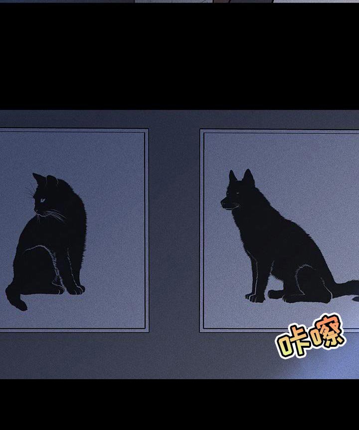 第161章：【第二季】不情不愿地猫