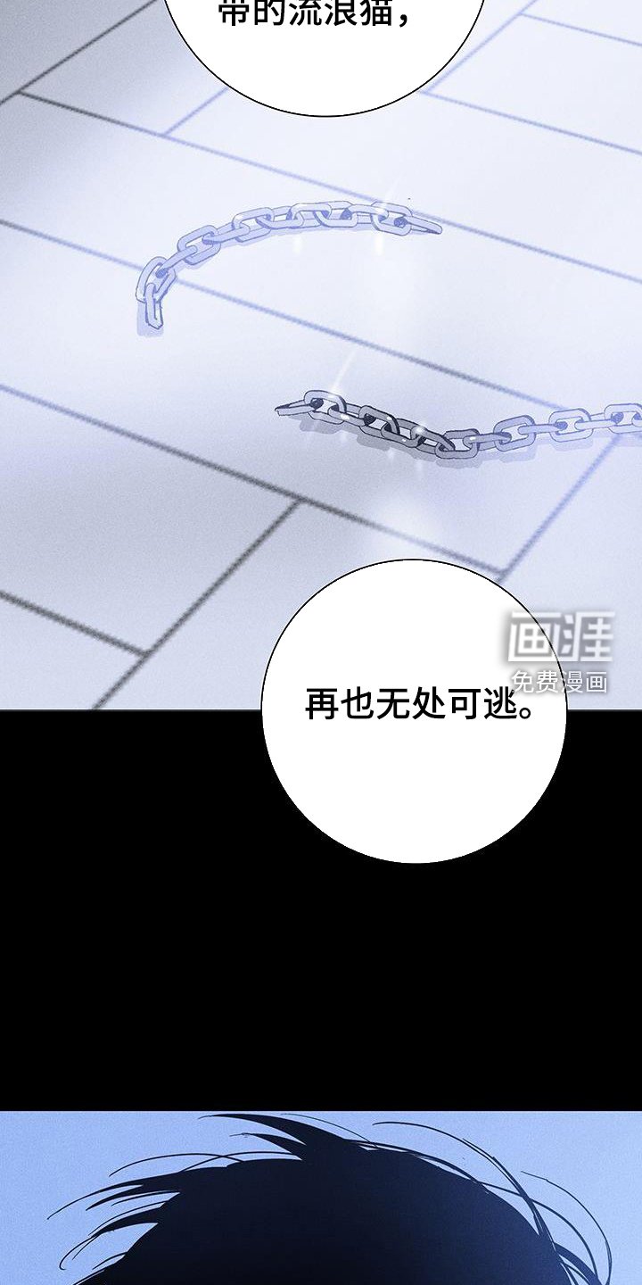 第163章：【第二季】调查