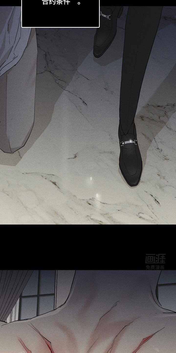 第209章：【第二季】有什么意义吗？