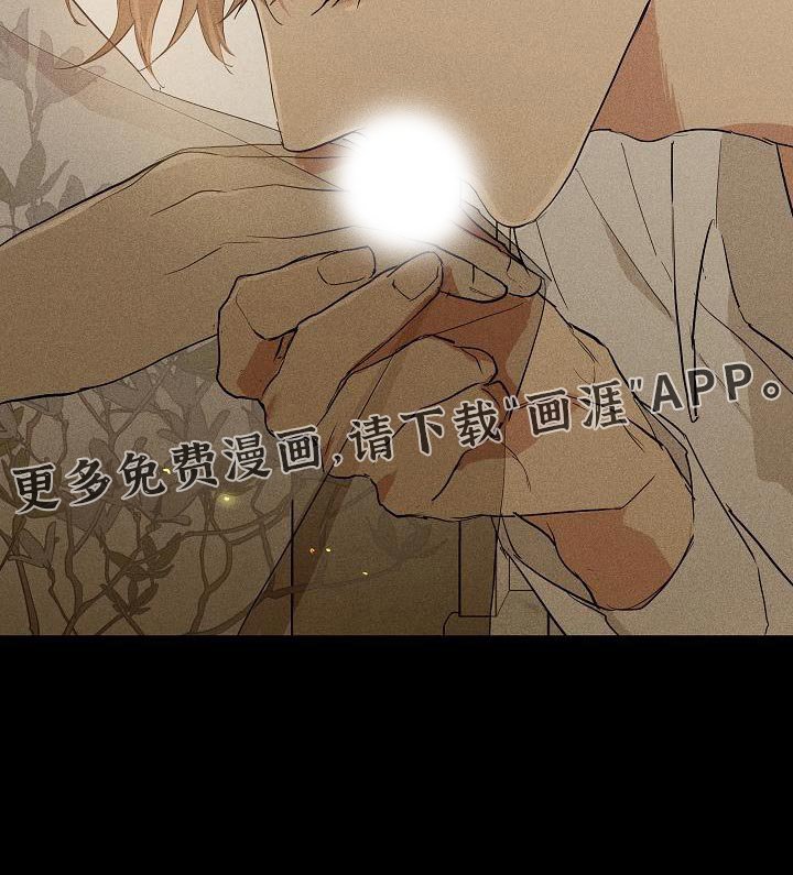 第212章：【第二季】共度剩余的人生