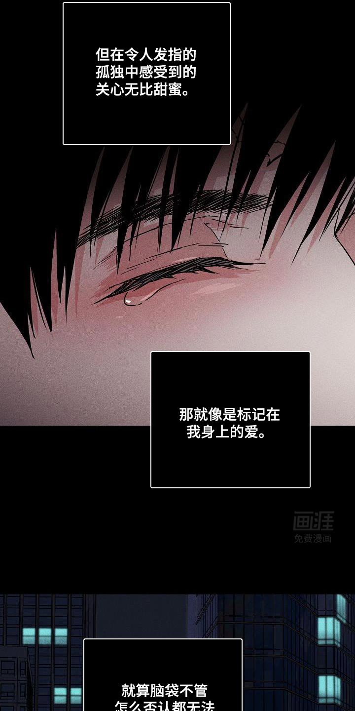 第217章：【第二季】羡慕也憧憬