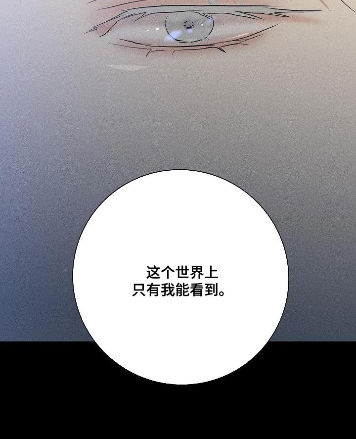 第218章：【第二季】只有我能看到