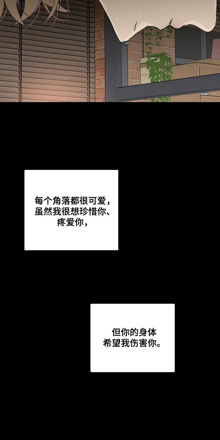 第224章：【第二季】恋爱的感觉