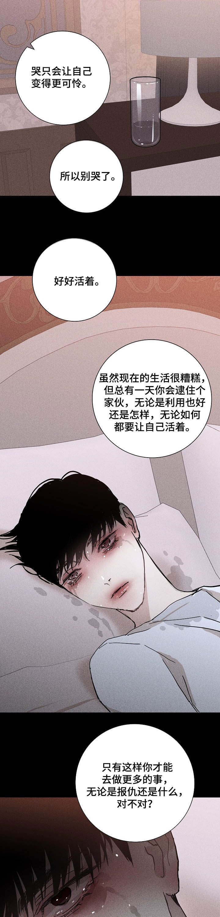 第37章：好好活着
