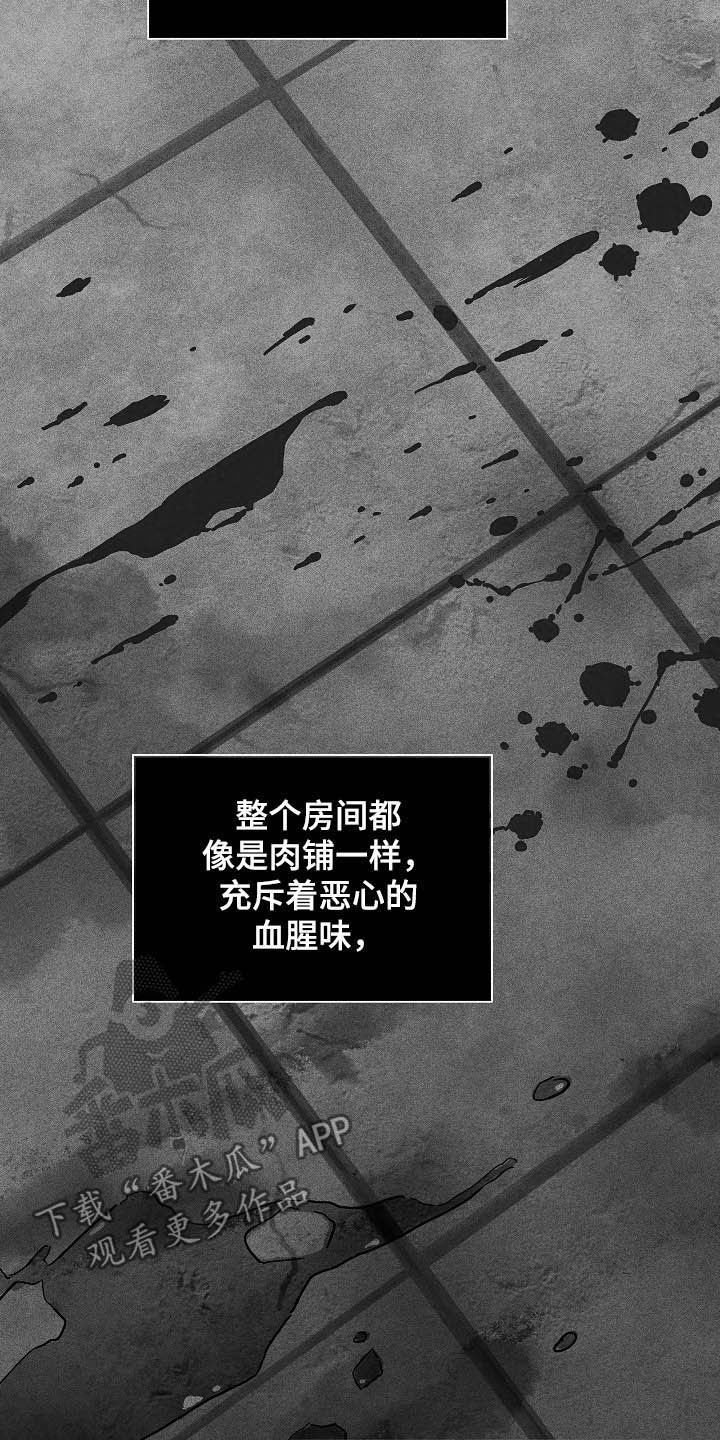 第45章：过往