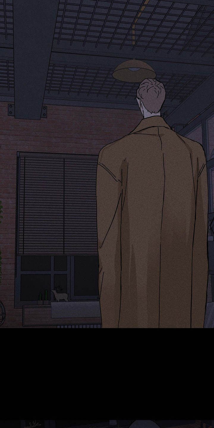 第46章：情感