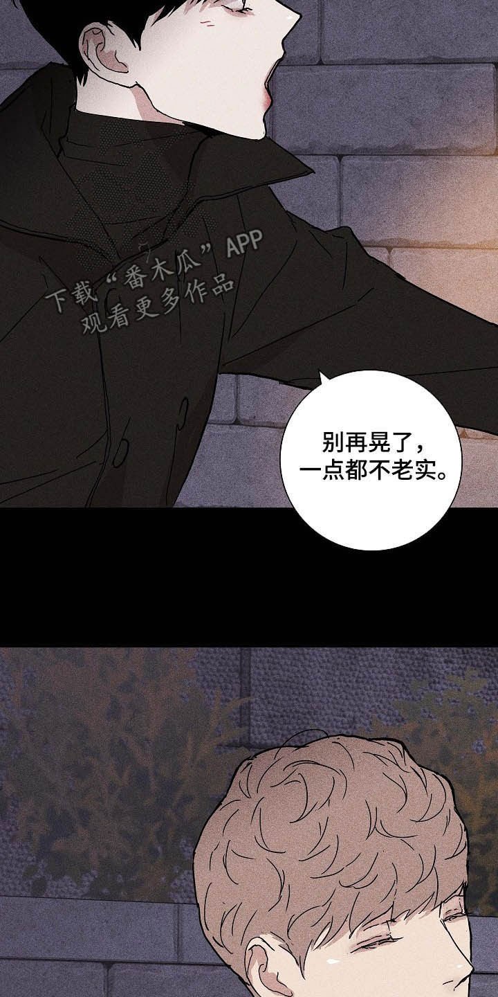 第48章：圣诞树