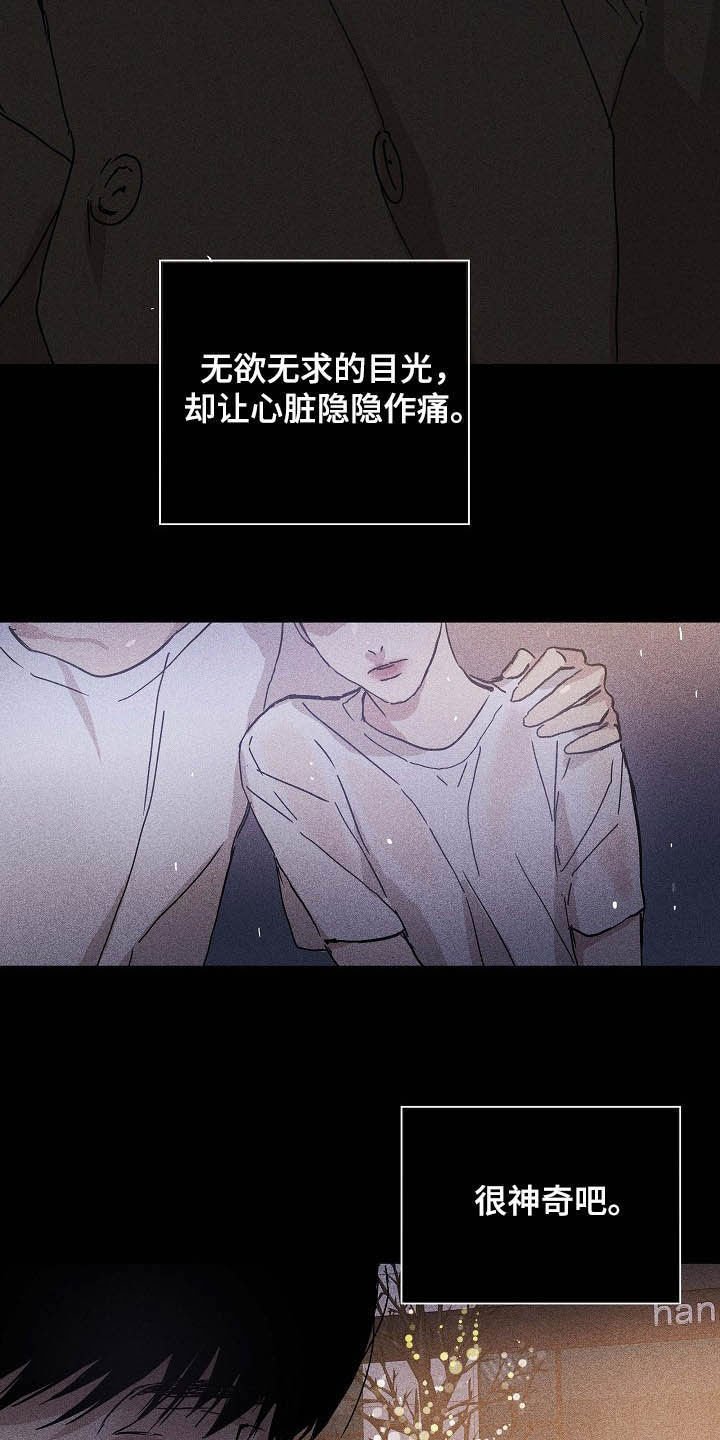 第48章：圣诞树