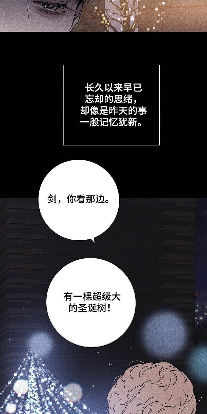 第48章：圣诞树