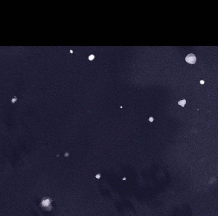 第49章：表白心意