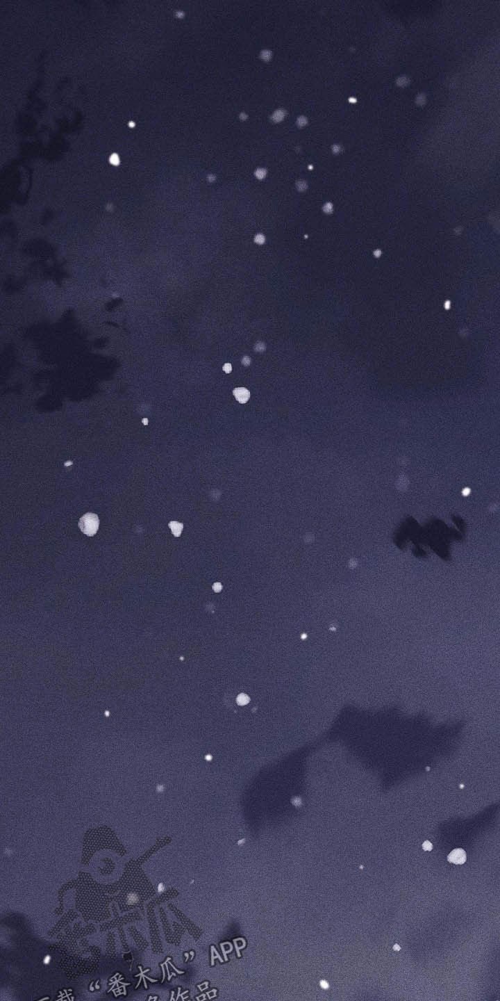 第49章：表白心意