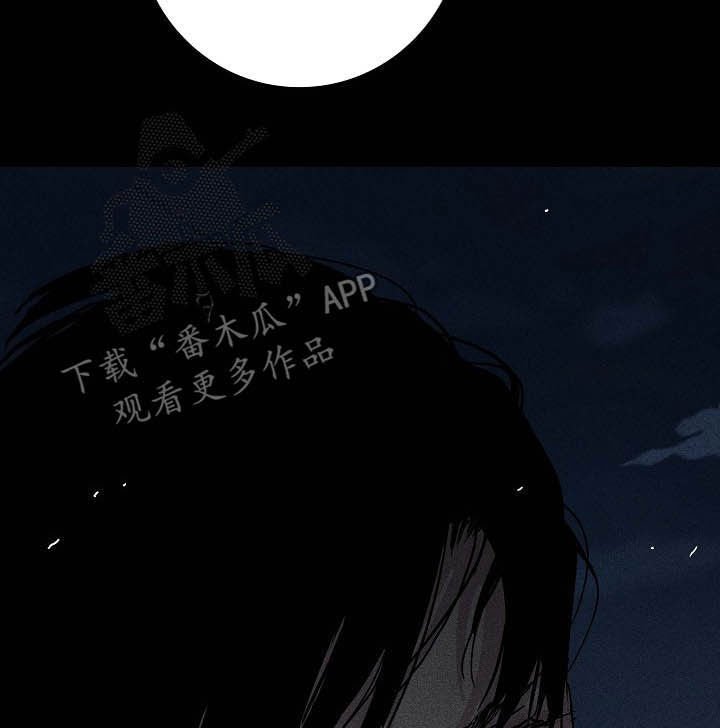 第50章：豪赌