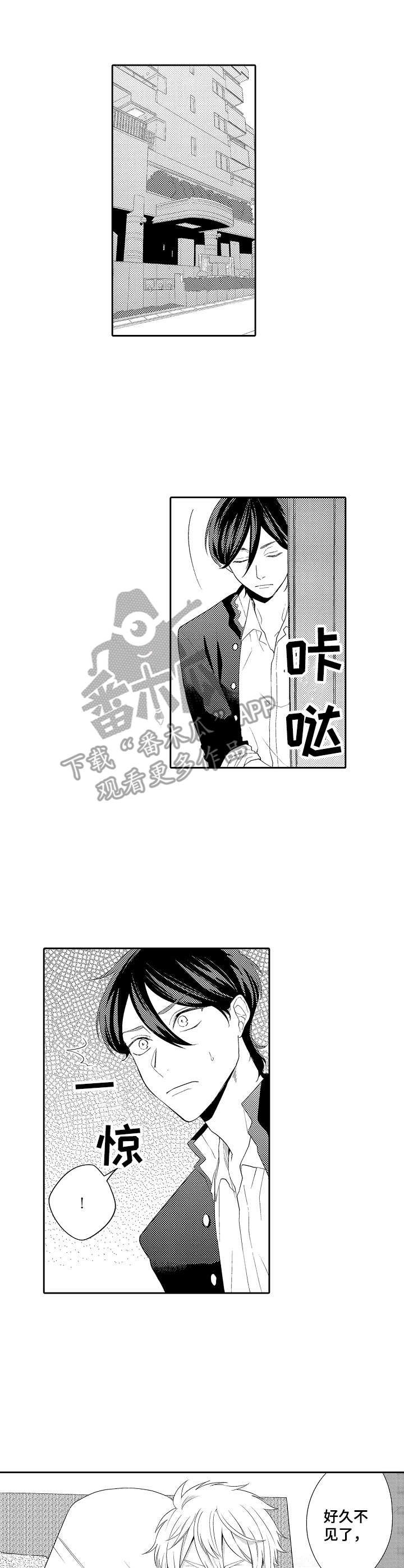 第13章： 主动