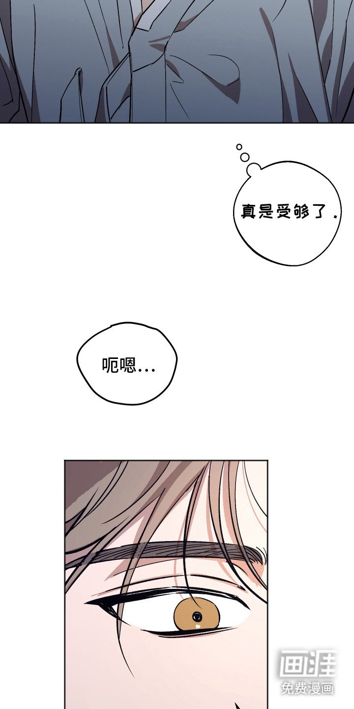 第11章：胡思乱想